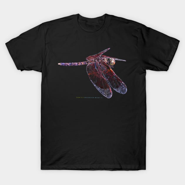 dragonfly t-shirt beautiful dragonfly  drawn dragonfly independent dragonfly graphic dragonfly hand drawn dragonfly flying dragonfly  independent insect colored dragonfly T-Shirt by maratmirzaev